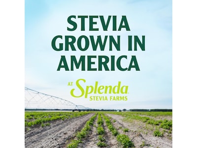 Splenda Stevia Sweetener Packet, 400/Box (SP21700410)