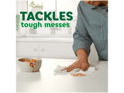Bounty Select-A-Size Triple Roll Paper Towels, 2-Ply, 123 Sheets/Roll, 2 Rolls/Pack (06133)