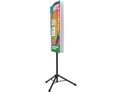 Excello Global Products Blank Indoor/Outdoor Floor Sign, 13" x 86", Black (EGP-HD-0523)