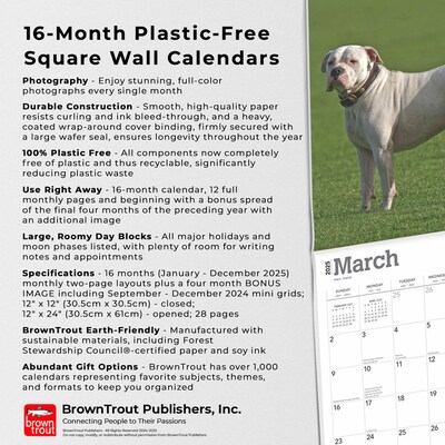 2025 BrownTrout American Bulldogs 12" x 12" Monthly Square Wall Calendar (9781975478223)
