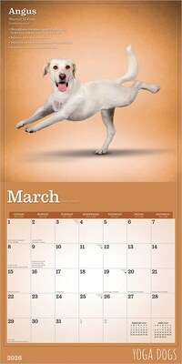 2026 BrownTrout Yoga Dogs 12" x 12" Monthly Wall Calendar (9798330701933)