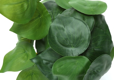 Monarch Specialties Inc. 8" Artificial Alocasia Plant in Pot, 2/Set (I 9559)