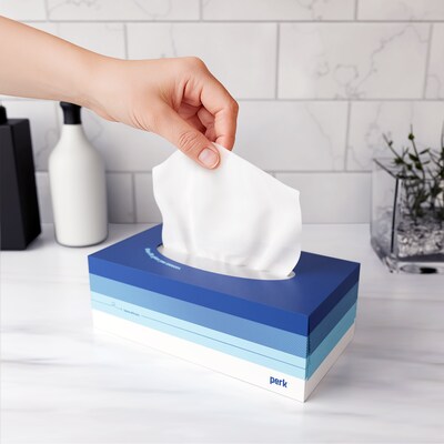 Perk Ultra Soft Facial Tissues, 2-Ply, 160 Sheets/Box, 3 Boxes/Pack, 12 Packs/Carton, FSC Certified Soft Tissue (PK57778CT)