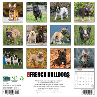 2027 Willow Creek French Bulldogs 12 x 12 Monthly Wall Calendar, Assorted Colors (60308)