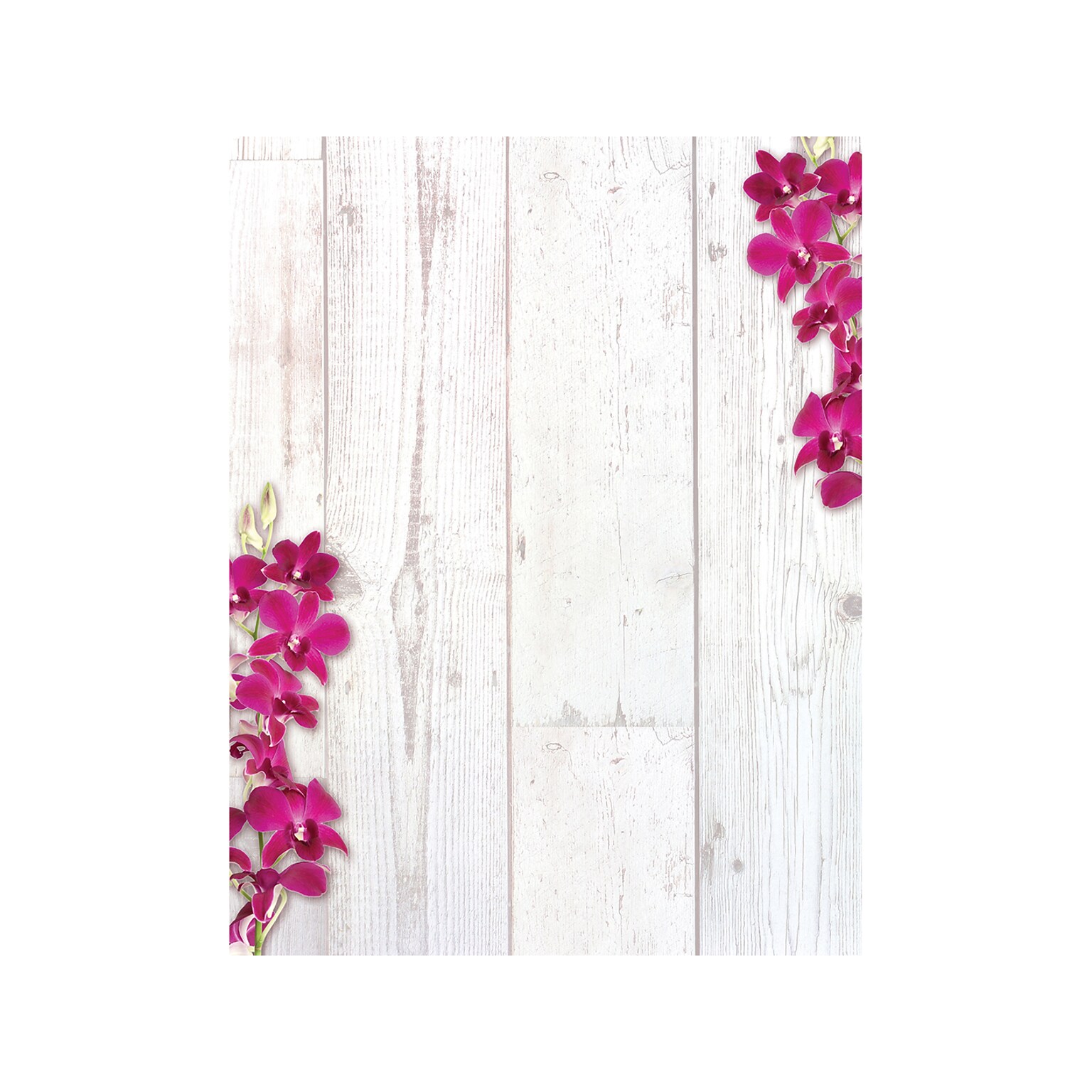 Great Papers Elegant Orchid Letterhead, Multicolor, 50/Pack (2023070)