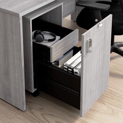 Bush Business Furniture Assure Mobile File Cabinet, Letter/Legal Size, Lockable, 26"H x 16"W x 20"D, Platinum Gray (AUS216PGSU)