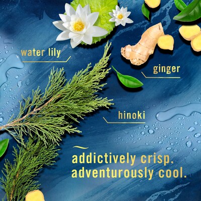 Febreze Air Mist Luxe Air Freshener Spray, Ocean Scent, 8.1 oz., 2/Pack (4221/83120)