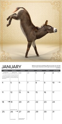 2026 Willow Creek Jackass Yoga 12" x 12" Monthly Wall Calendar (51634)