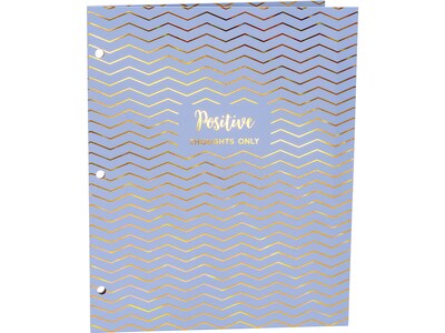 Pukka Pad Haze 3-Hole Punched 2-Pocket Cardstock Portfolio Folders, Assorted Colors, 6/Pack (9980(AST)-HZE)