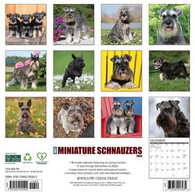 2026 Willow Creek Miniature Schnauzers 12 x 12 Monthly Wall Calendar (55502)