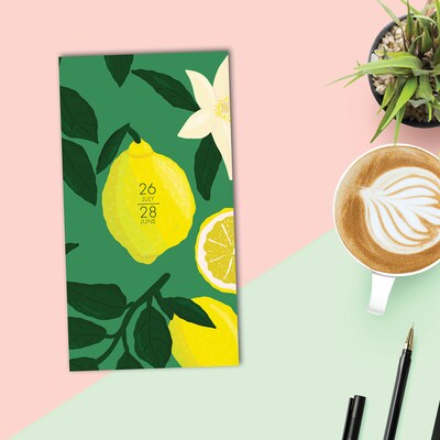 2026-2028 Willow Creek 3.5" x 6.5" Academic Monthly Planner, Plastic Cover, Lemon Fresh (64900X)