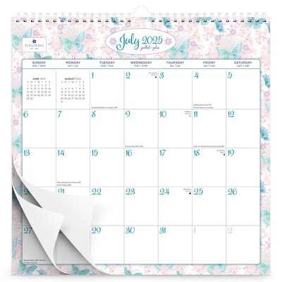 2025-2026 Plato House of Turnowsky 12 x 12 Academic Monthly Wall Calendar (9798330700165)