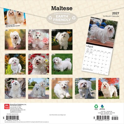 2027 BrownTrout Maltese 12 x 12 Monthly Wall Calendar (9798330714742)