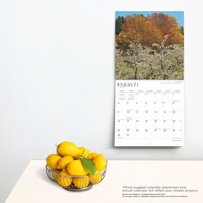 2025 BrownTrout Michigan Nature 12" x 12" Monthly Square Wall Calendar (9781975475260)