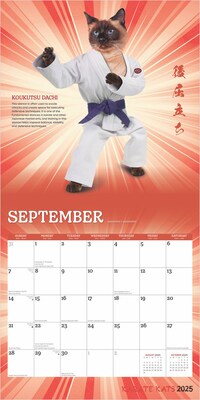 2025 BrownTrout Karate Cats 12" x 24" Monthly Square Wall Calendar, (9781975479831)