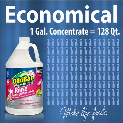OdoBan Pet Solutions Floor Cleaner, Citrus Scent, 1 Gallon (9361B61-G4)