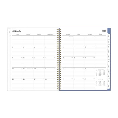 2026 Blue Sky Cocorrina 8.5" x 11"  Weekly & Monthly Planner, Plastic Cover, Multicolored (143696-26)