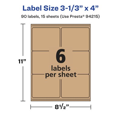 Avery Laser/Inkjet Multipurpose Labels, 4" x ", Kraft Brown, 90/Pack (94215)