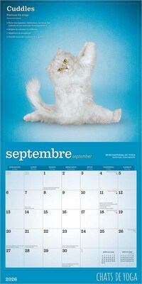 2026 BrownTrout Chats de Yoga OFFICIEL 12" x 12" Monthly Wall Calendar (9798330707348)