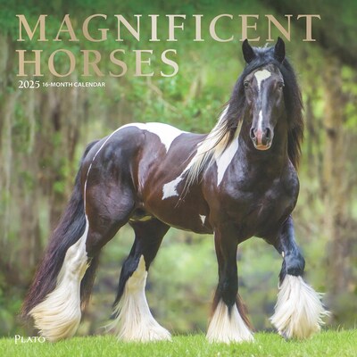 2025 Plato Magnificent Horses 12 x 12 Monthly Square Wall Calendar (9781975478995)