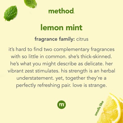 Method Liquid Dish Soap, Lemon Mint, 18 oz. (10186)