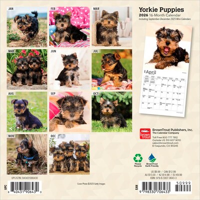 2026 BrownTrout Yorkshire Terrier Puppies 7 x 7 Monthly Wall Calendar (9798330706433)