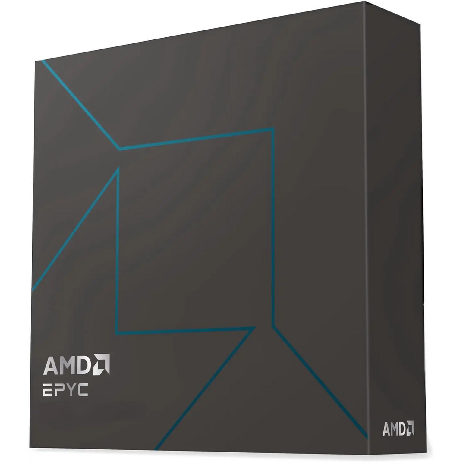 AMD EPYC 4005 Series 4465P 12-Core 3.4GHz Computer Processor, Socket AM5 (100-100001558WOF)