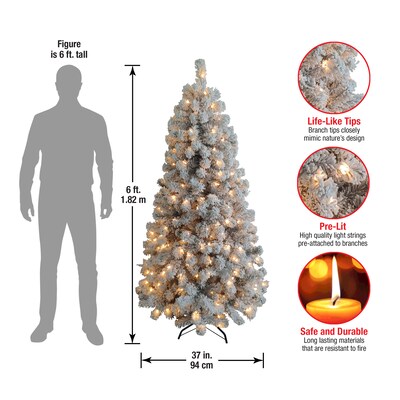 National Tree Company Acacia Artificial Christmas Trees (AC100-308-60F)