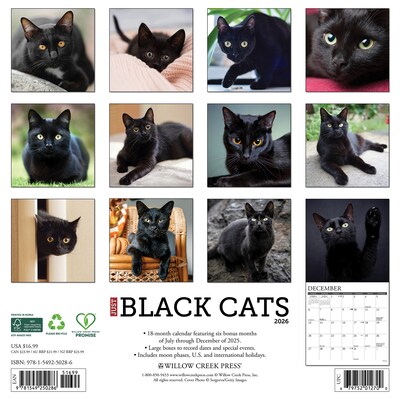 2026 Willow Creek Black Cats 12 x 12 Monthly Wall Calendar (50286)