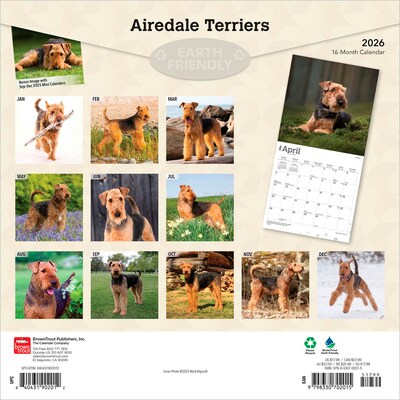 2026 BrownTrout Airedale Terriers 12 x 12 Monthly Wall Calendar (9798330702015)
