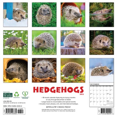 2025 Willow Creek Hedgehogs 12 x 12 Monthly Wall Calendar (43332)