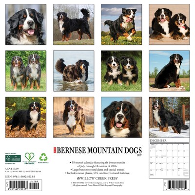 2027 Willow Creek Bernese Mountain Dogs 12 x 12 Monthly Wall Calendar, Assorted Colors (59135)