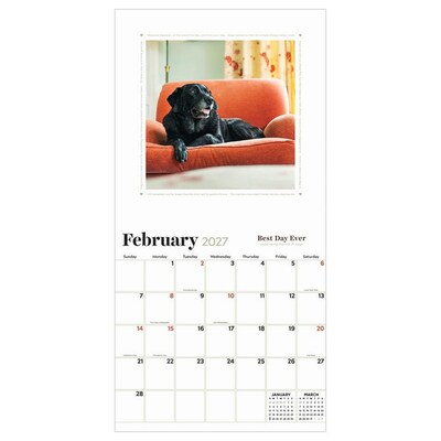 2027 TF Publishing Best Day Ever: Dogs 12 x 12 Monthly Wall Calendar (27-1001)