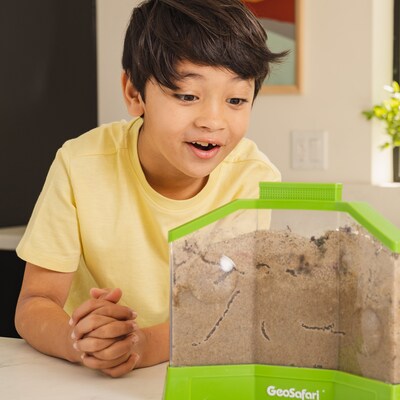 Educational Insights GeoSafari Ant Factory, Observe Live Ants (voucher included to order free ants) in Habitat (EI-5147)