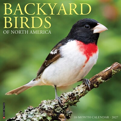 2027 Willow Creek Backyard Birds 12 x 12 Monthly Wall Calendar, Assorted Colors (58978)