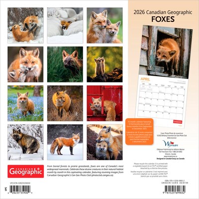 2026 Wyman Canadian Geographic Foxes 12 x 12 Monthly Wall Calendar (9781525699832)