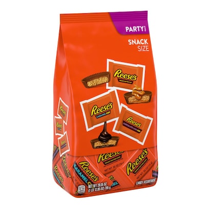 Reeses Snack Size Assorted Milk Chocolate Peanut Butter Variety Bag, 28.05 oz. (HEC40060)
