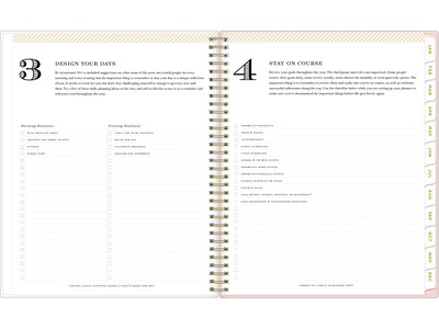 2025 Blue Sky Day Designer Roses Blush 8.5" x 11" Weekly & Monthly Planner, Plastic Cover, Multicolor (140092-25)