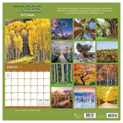 2027 TF Publishing Trees 10" x 12" Monthly Wall Calendar, Multicolored (27-1029)