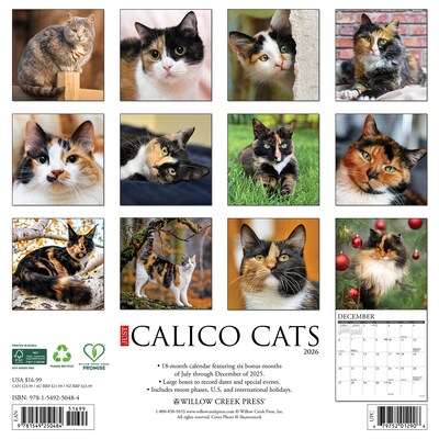 2026 Willow Creek Calico Cats 12 x 12 Monthly Wall Calendar (50484)