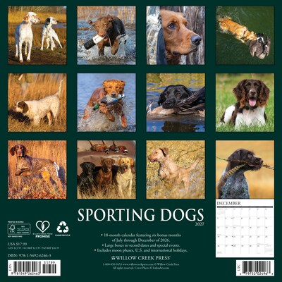 2027 Willow Creek Sporting Dogs 2 x 12 Monthly Wall Calendar, Assorted Colors (62463)