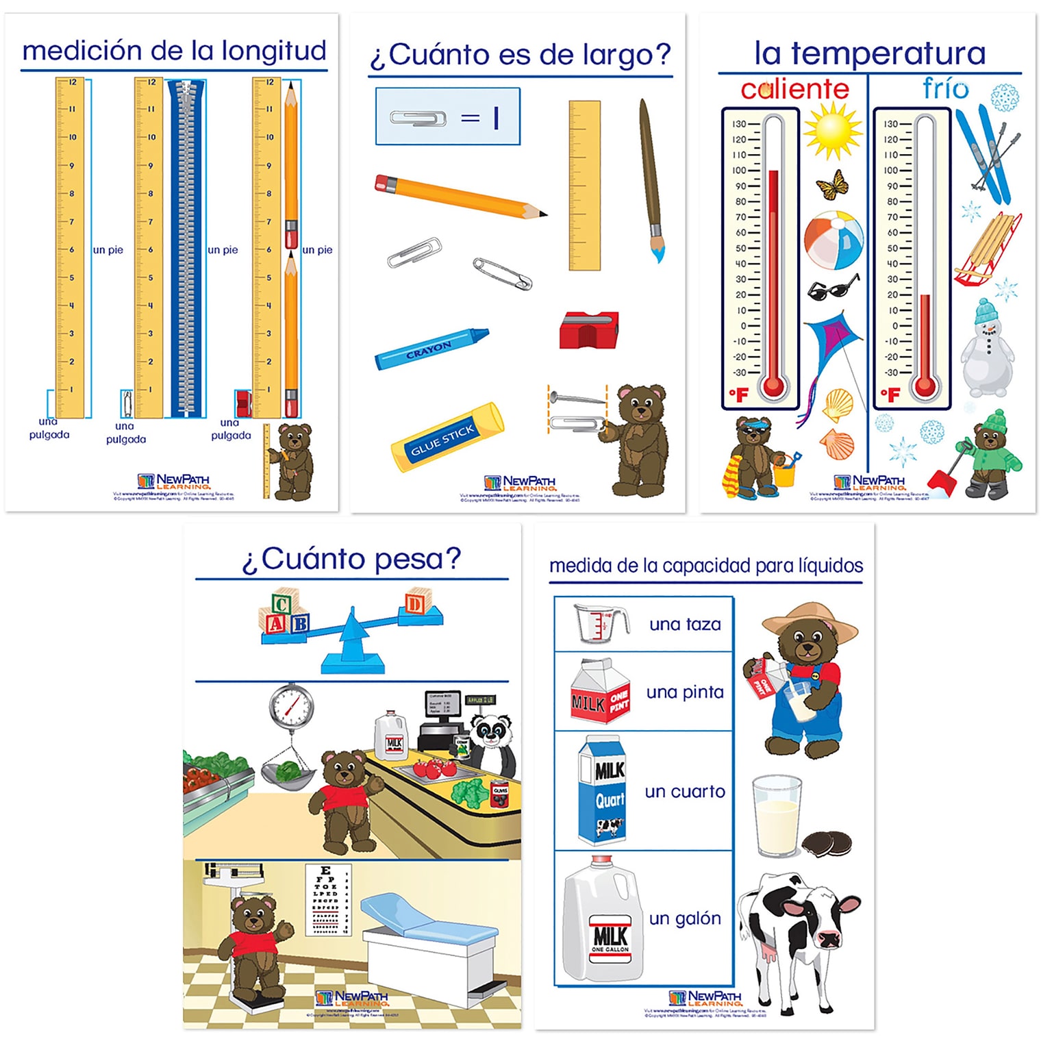 NewPath Learning Measurement Bulletin Board Charts, Spanish Edition, 5/Set (NP-930328)