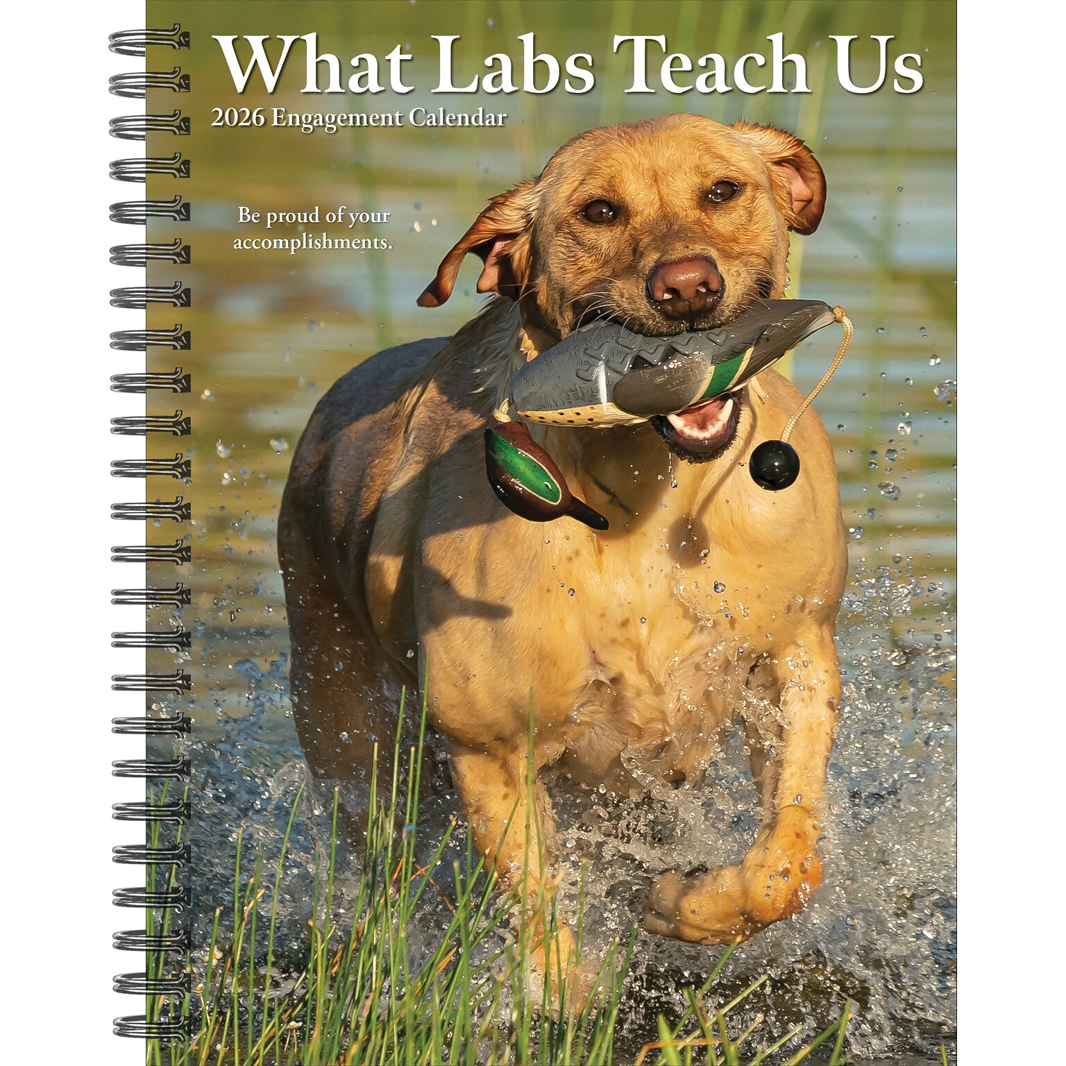 2026 Willow Creek What Labs Teach Us 6.5 x 8.5 Weekly Planner, Paperboard Cover (55267)