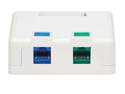 Tripp Lite 2-Port Surface-Mount Box, White (N082-002-WH)