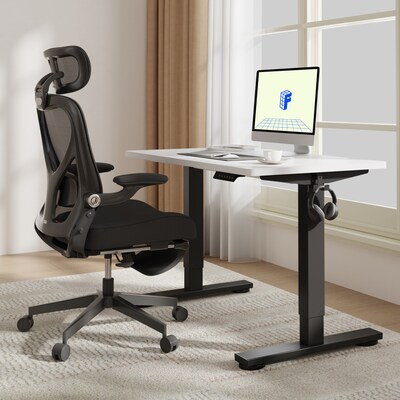 FlexiSpot E2 42''W Electric Adjustable Standing Desk, White/Black (E2B4224W)