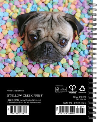 2027 Willow Creek Doug the Pug 6.5 x 8.5 Weekly & Monthly Desk Calendar (64405)