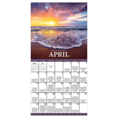 2027 TF Publishing Daily Verse 12" x 12" Monthly Wall Calendar (27-1007)