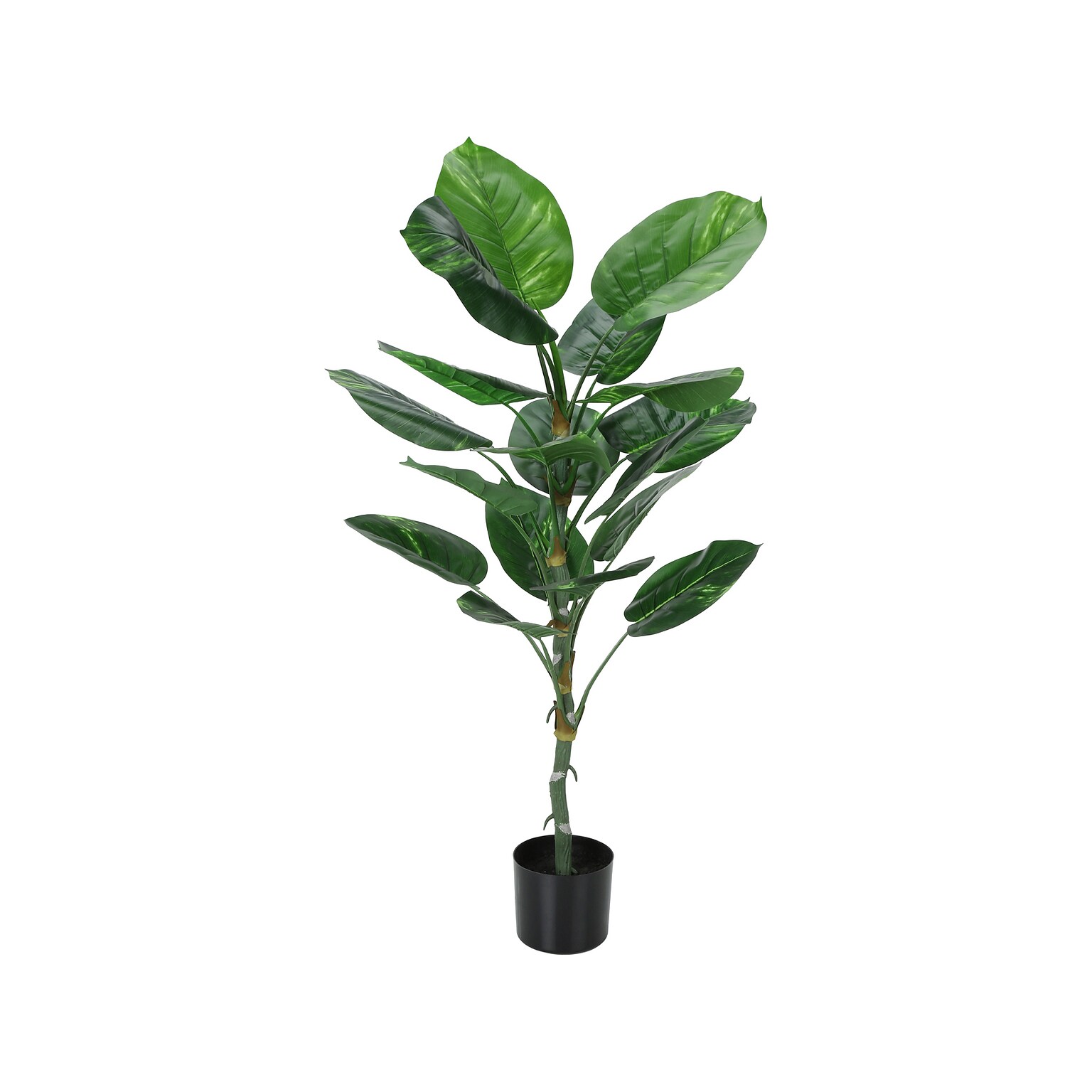 Monarch Specialties Inc. Dieffenbachia Tree in Pot (I 9519)