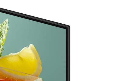 Samsung BEFX-H series 50" Free Standing Television for Digital Signage (BE50FX-H)