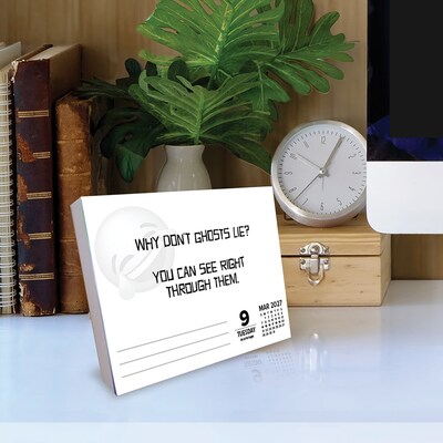 2027 Willow Creek LOL Jokes 5.4" x 6.2" Day-to-Day Calendar (63576)